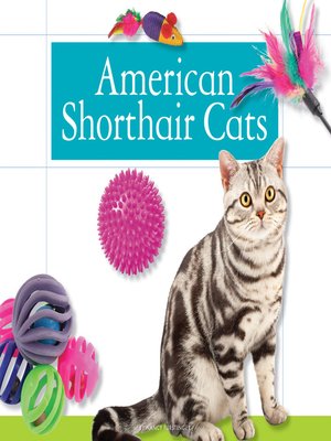 cover image of American Shorthair Cats
